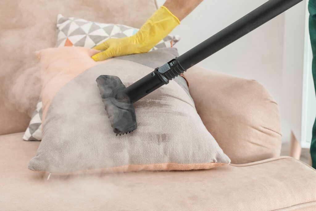 Steam cleaner and coronavirus